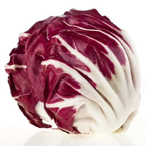[579] FRESC RADICCHIO/XICOIRA ECO (unitat) Murcia