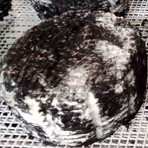 QUESO ROCANEGRA DE CABRA Claperol 300 g