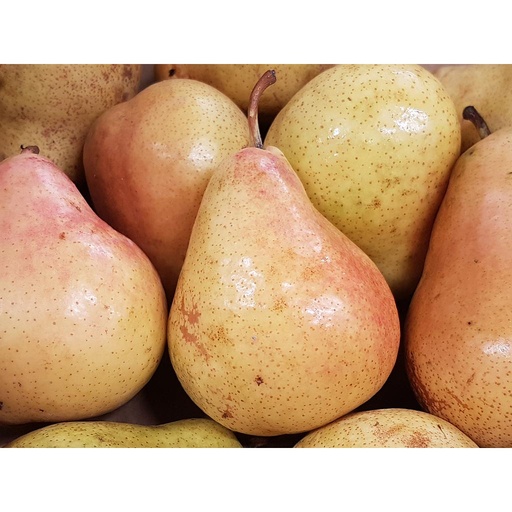 [S49D1R] FRESCO PERA  HARROW SWEET (kg) Pla d'Urgell