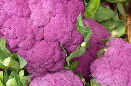 FRESC BRÒQUIL MORAT ECO (u) Vallesme - La Magalla (còpia)