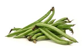 FRESC FAVA PROXIMITAT (kg) Terra Pagesa