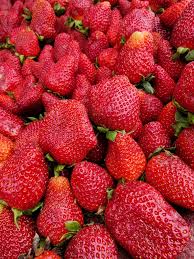 FRESC MADUIXA PROXIMITAT (kg) Terra Pagesa