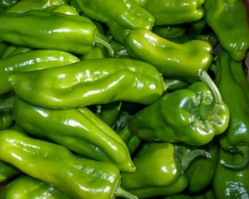 FRESC PEBROT VERD ITALIÀ PROXIMITAT (kg) Terra Pagesa